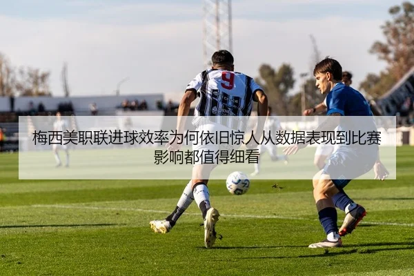 img_1780912907737_296_2_304.jpg